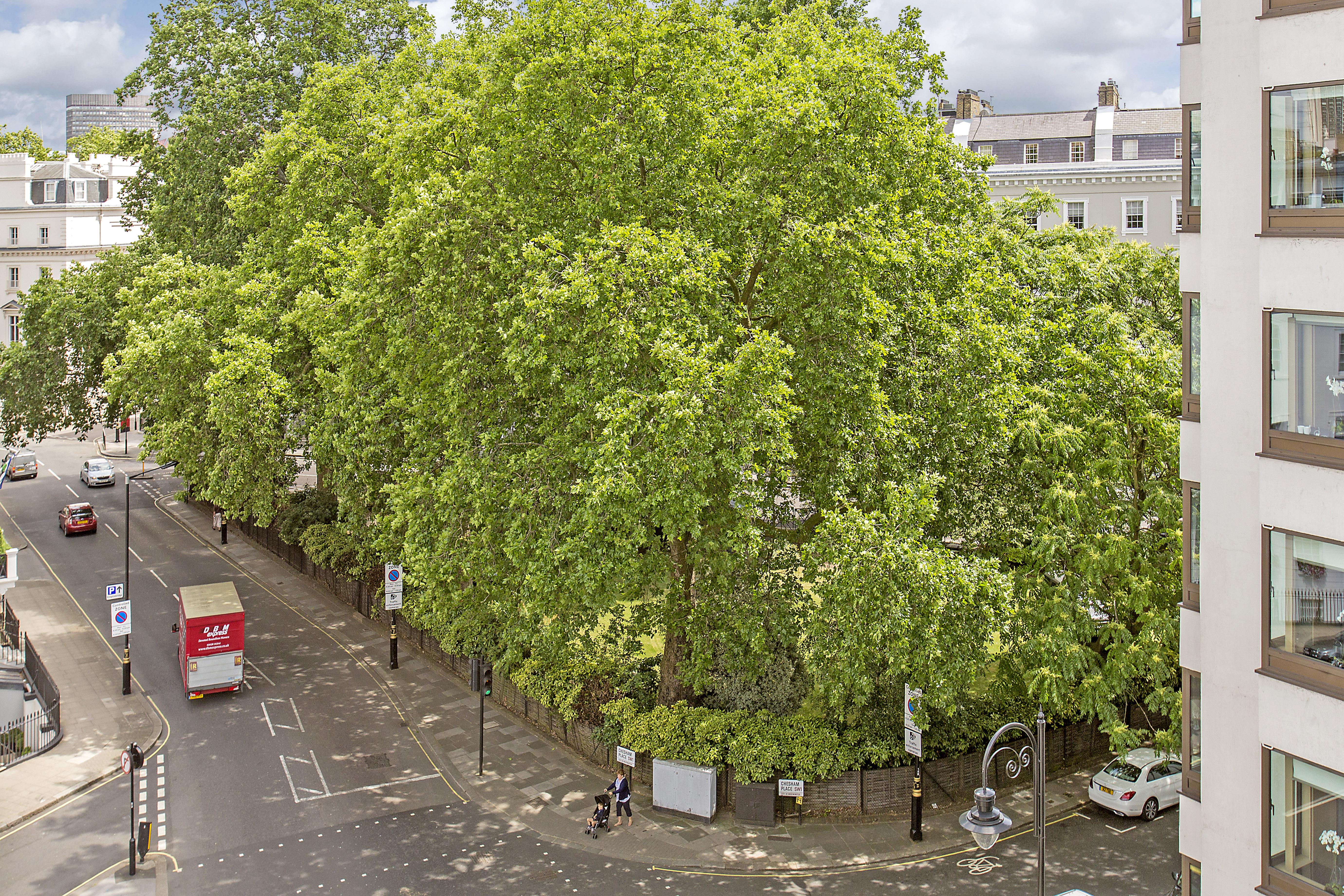Aparthotel Chesham Court Knightsbridge Londýn Exteriér fotografie